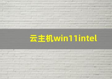 云主机win11intel