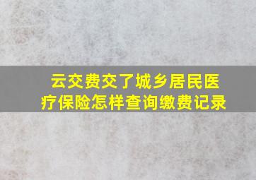 云交费交了城乡居民医疗保险怎样查询缴费记录