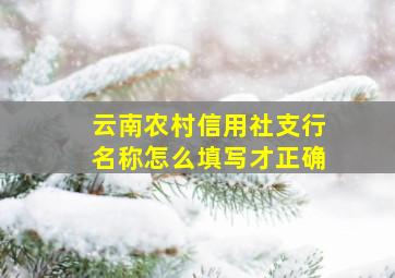 云南农村信用社支行名称怎么填写才正确