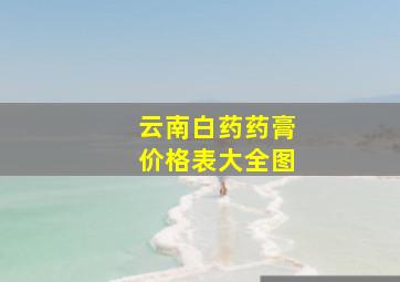 云南白药药膏价格表大全图