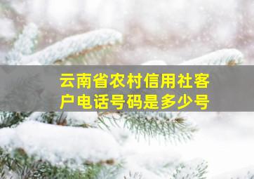 云南省农村信用社客户电话号码是多少号