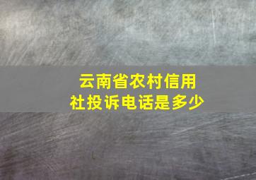 云南省农村信用社投诉电话是多少