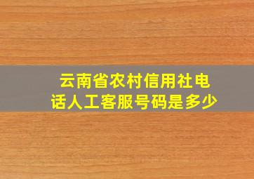 云南省农村信用社电话人工客服号码是多少