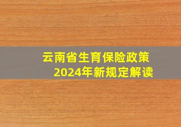 云南省生育保险政策2024年新规定解读