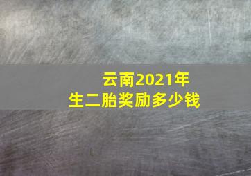 云南2021年生二胎奖励多少钱