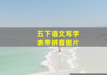 五下语文写字表带拼音图片