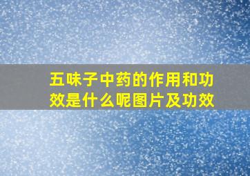 五味子中药的作用和功效是什么呢图片及功效