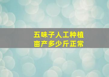 五味子人工种植亩产多少斤正常