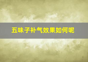 五味子补气效果如何呢