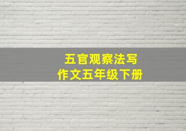 五官观察法写作文五年级下册