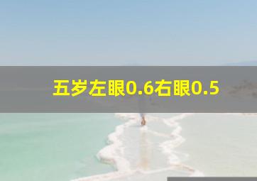 五岁左眼0.6右眼0.5