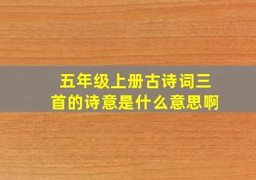 五年级上册古诗词三首的诗意是什么意思啊