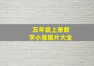 五年级上册数学小报图片大全