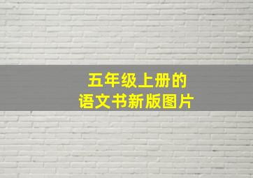 五年级上册的语文书新版图片