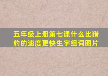 五年级上册第七课什么比猎豹的速度更快生字组词图片