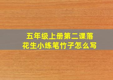 五年级上册第二课落花生小练笔竹子怎么写