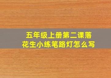 五年级上册第二课落花生小练笔路灯怎么写