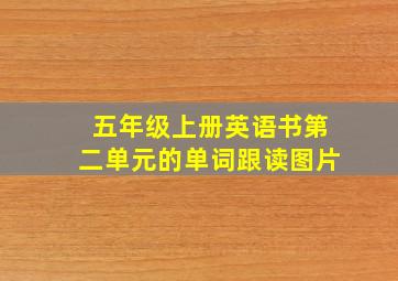 五年级上册英语书第二单元的单词跟读图片