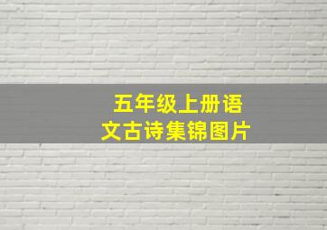 五年级上册语文古诗集锦图片