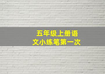 五年级上册语文小练笔第一次