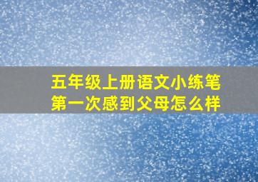 五年级上册语文小练笔第一次感到父母怎么样