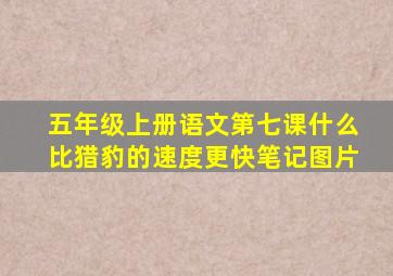 五年级上册语文第七课什么比猎豹的速度更快笔记图片