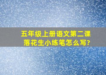 五年级上册语文第二课落花生小练笔怎么写?