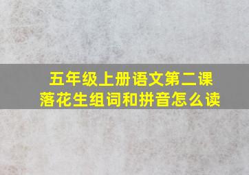 五年级上册语文第二课落花生组词和拼音怎么读