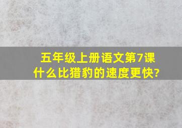 五年级上册语文第7课什么比猎豹的速度更快?