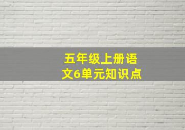 五年级上册语文6单元知识点