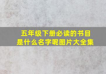 五年级下册必读的书目是什么名字呢图片大全集