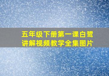 五年级下册第一课白鹭讲解视频教学全集图片