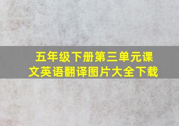 五年级下册第三单元课文英语翻译图片大全下载