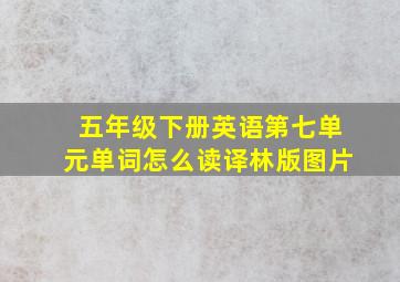 五年级下册英语第七单元单词怎么读译林版图片