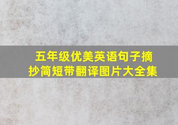 五年级优美英语句子摘抄简短带翻译图片大全集