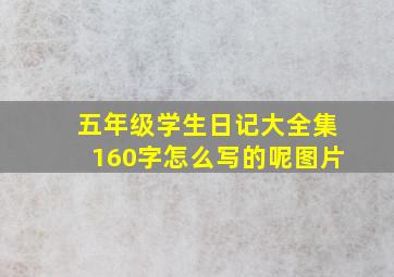 五年级学生日记大全集160字怎么写的呢图片