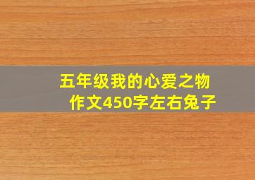 五年级我的心爱之物作文450字左右兔子