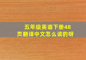 五年级英语下册48页翻译中文怎么读的呀