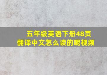 五年级英语下册48页翻译中文怎么读的呢视频