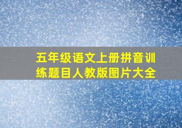 五年级语文上册拼音训练题目人教版图片大全