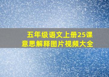 五年级语文上册25课意思解释图片视频大全