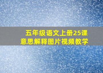 五年级语文上册25课意思解释图片视频教学