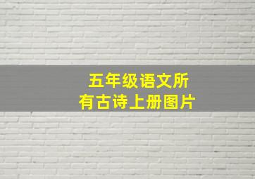 五年级语文所有古诗上册图片