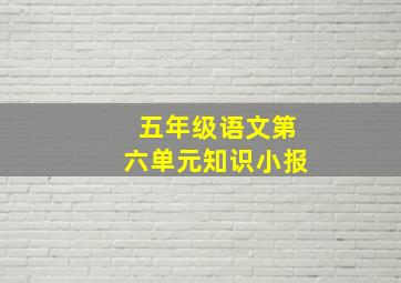 五年级语文第六单元知识小报