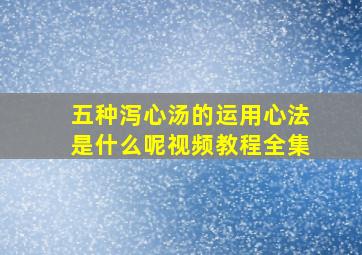 五种泻心汤的运用心法是什么呢视频教程全集