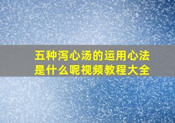 五种泻心汤的运用心法是什么呢视频教程大全