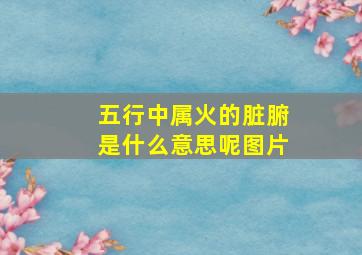 五行中属火的脏腑是什么意思呢图片