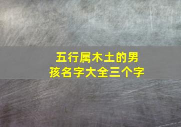 五行属木土的男孩名字大全三个字