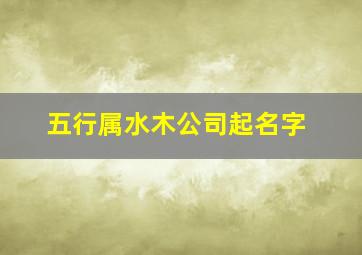 五行属水木公司起名字