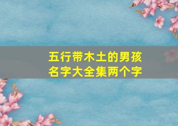 五行带木土的男孩名字大全集两个字